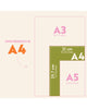 academic calendar with a bold and colorful design