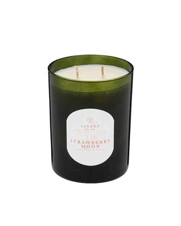 *RESTOCK* Botanik Two Wick Candle *Three Fragrances*