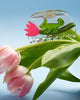 clear acetate hair claw with a green chameleon holding on to a pink tulip