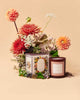 Clementine & Clove Candle from rifle paper co