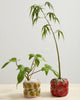 Cucina Pots