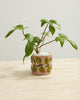 Cucina Pot olive