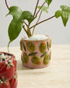Cucina Pot olive