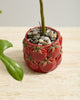 Cucina Pot tomatoes