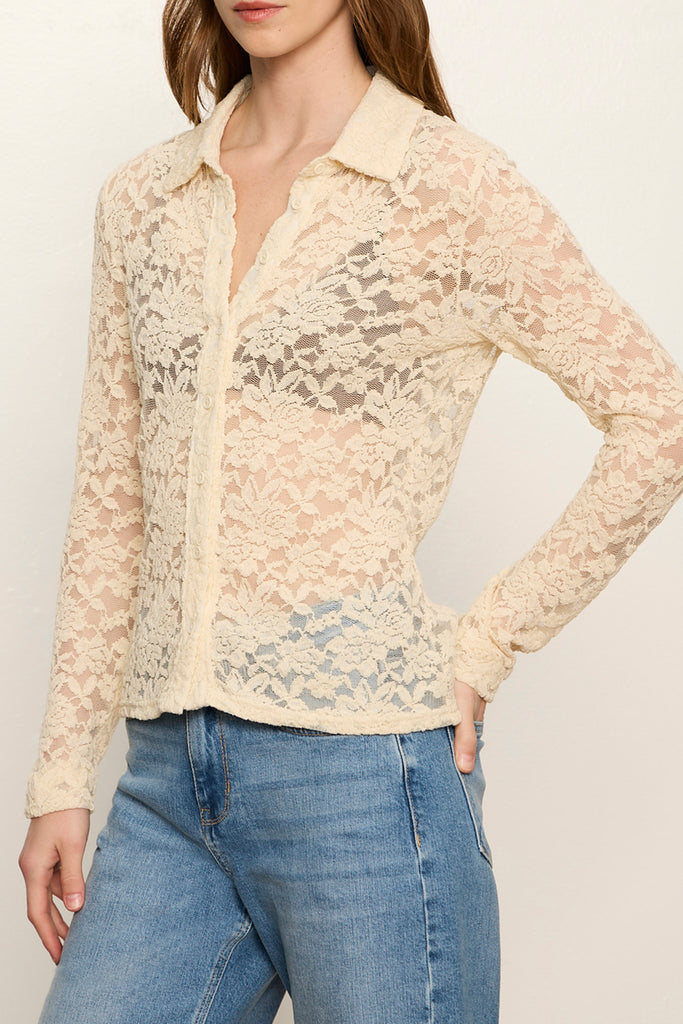 sheer lace button down top in lovely off white