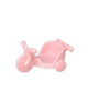 flora rabbit twins set from calico critters