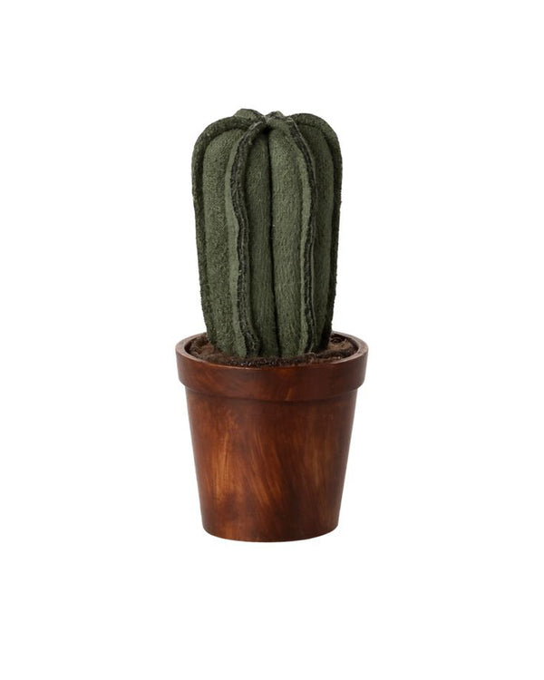 Flower Pot with Cactus