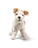 fox terrier plush toy from steiff
