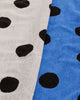 set of two hand towels in a polka dot pattern