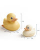 Itzy Duck Family Bath + Water Table Toys