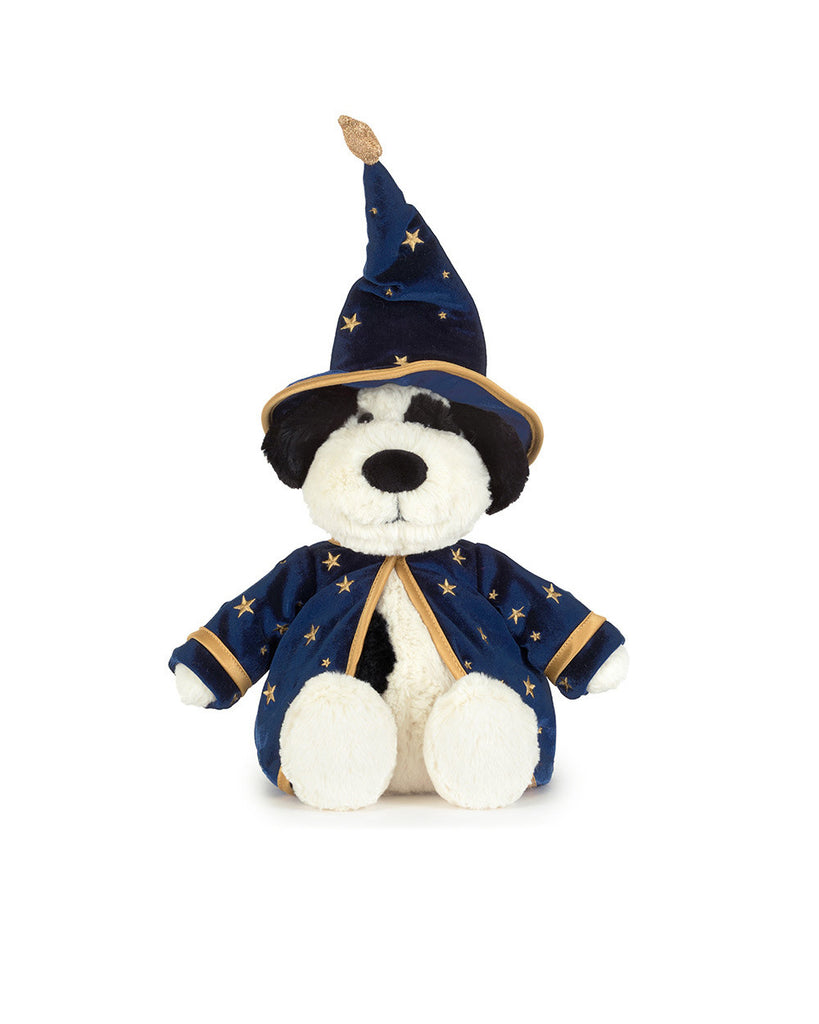 Rufferty Puppy Wizard Outfit