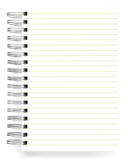 interior pages of spiral-bound notebook 