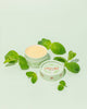 little bee mini balm pure mint