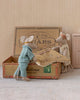 mum and dad mice in cigar box from maileg