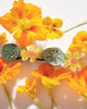 french barrette with green leaves, yellow nasturtiums, and bejeweled beetles