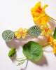 french barrette with green leaves, yellow nasturtiums, and bejeweled beetles
