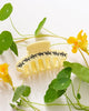 butter yellow hair claw with black rhinestone ants