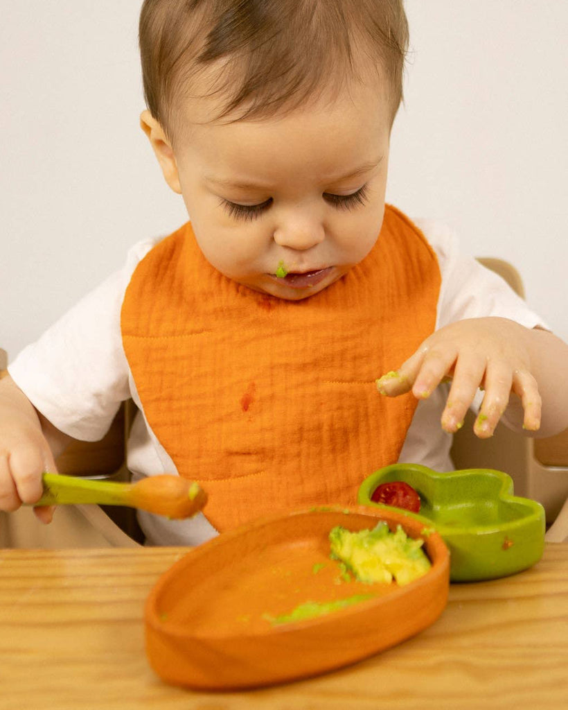 baby dish and spoon set, cathy the carrot