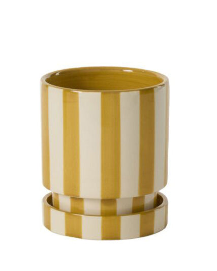 yellow and white striped pot with saucer