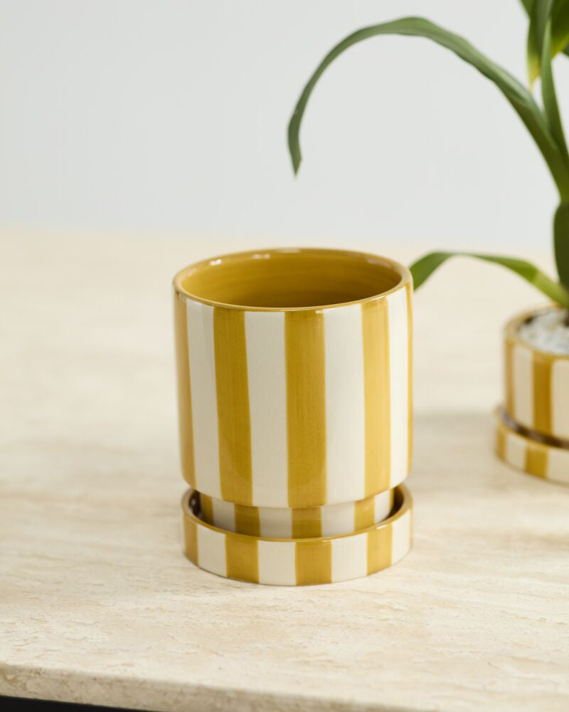 yellow and white striped pot with saucer