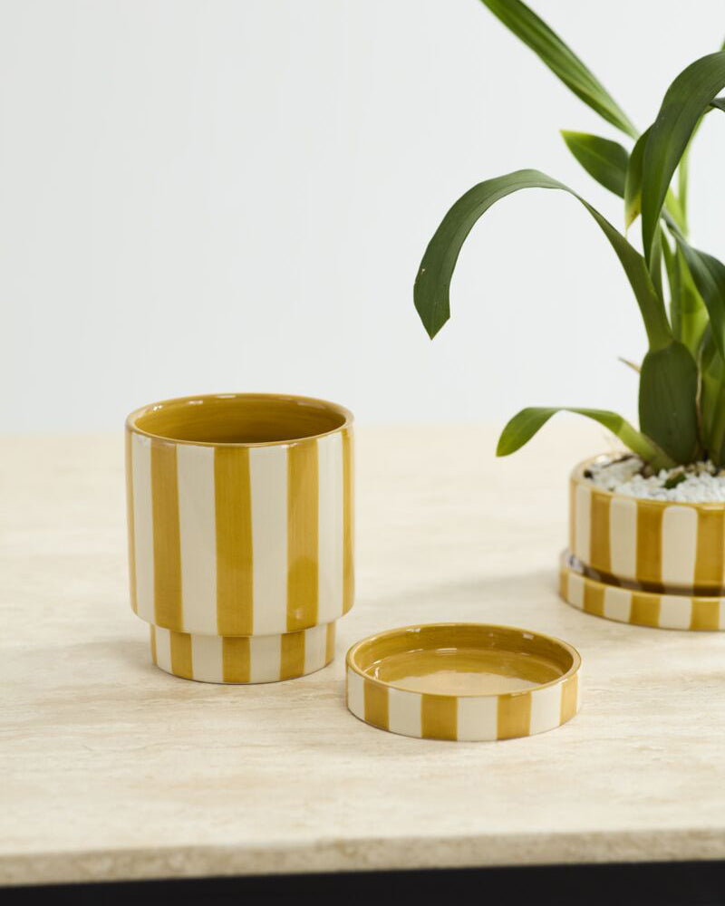 yellow and white striped pot with saucer
