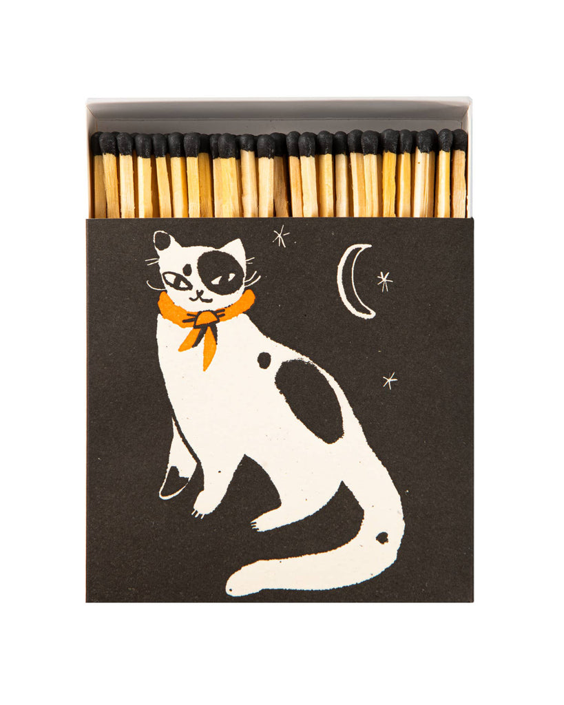 square matchbox of safety matches, black spotted kitten 