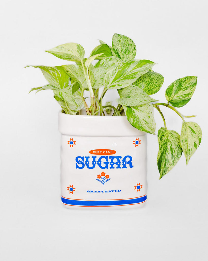 ceramic planter in the shape of a sugar jar 
