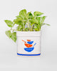 ceramic planter in the shape of a sugar jar 