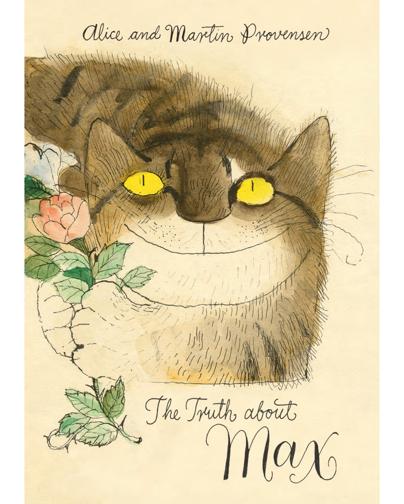the truth about max hardcover book 