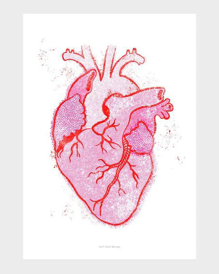 Vintage Anatomical Heart Art Print | Valentine Collection | Personify ...